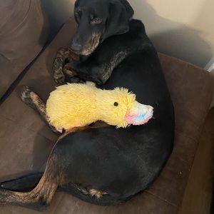 Meet your Posher, James